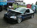 showfest Show Images Page 2