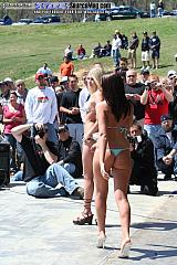 laydout06 Show Images Page 7