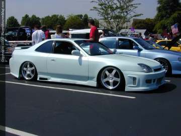 tarheel Show Images Page 2