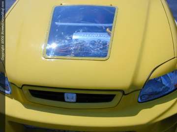 tarheel Show Images Page 2