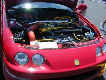 tarheel Show Images Page 4