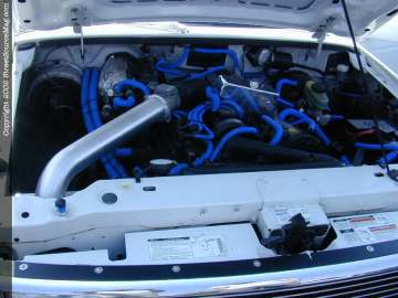 tarheel Show Images Page 5