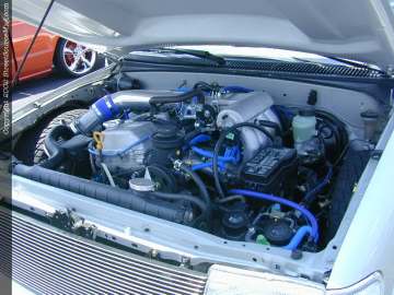 tarheel Show Images Page 6