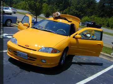 tarheel Show Images Page 6