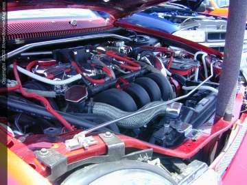 tarheel Show Images Page 6