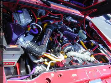 tarheel Show Images Page 6