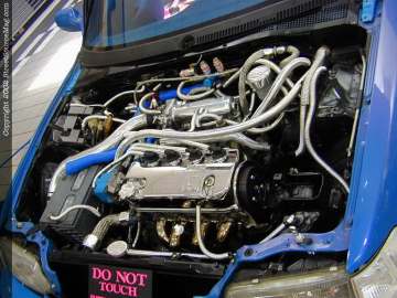 tarheel Show Images Page 7