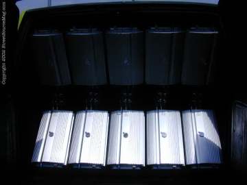 tarheel Show Images Page 9