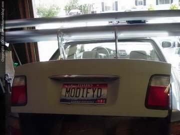 The MODIFYD project Part IV