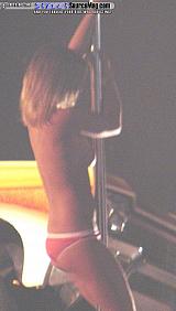 HWI Show Images Page 4