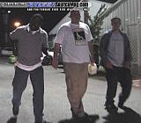 HWI Show Images Page 7