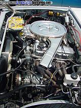 stc Show Images Page 4