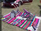 slamboree Show Images Page 3
