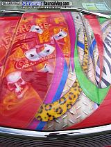 carlisle Show Images Page 6