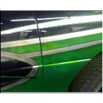 close up of the skulls