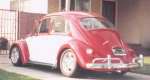 1966 Volkswagen Bug
