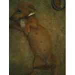 you gotta ask her to scoot over for a ride